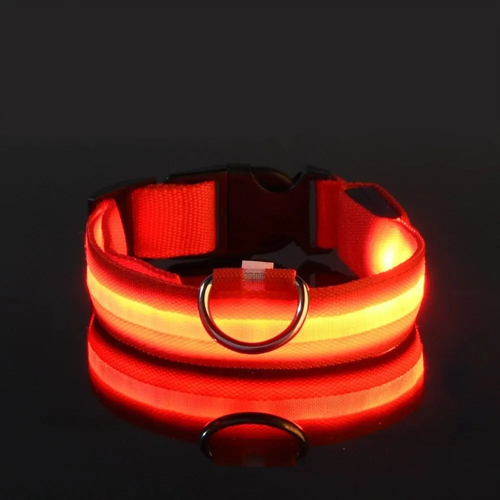 LED-Hundehalsband - Leuchtendes Sicherheits-Nylonhalsband für Spaziergänge bei Nacht