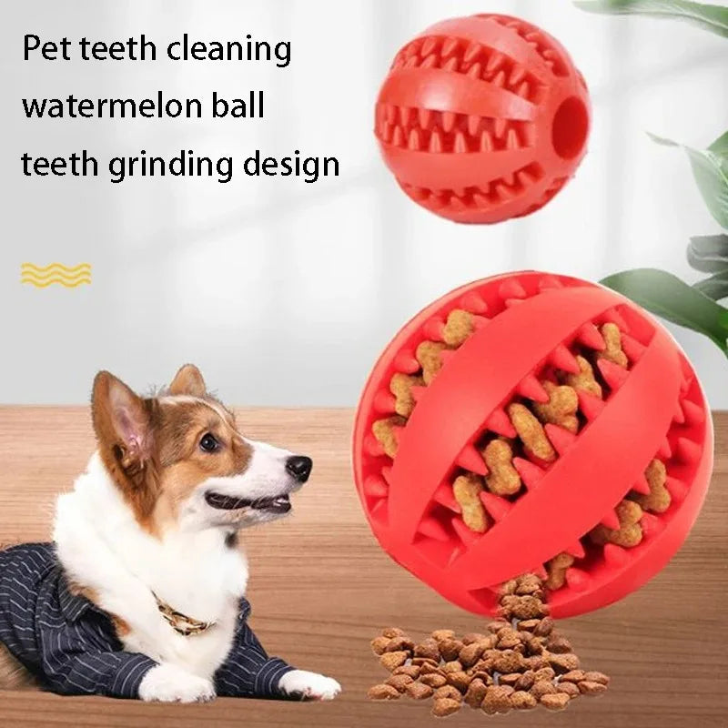 Zahnreinigungsball aus Naturgummi, interaktives Hundespielzeug mit Leckerli-Funktion