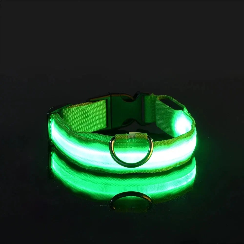 LED-Hundehalsband - Leuchtendes Sicherheits-Nylonhalsband für Spaziergänge bei Nacht