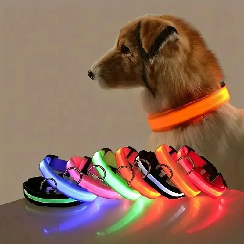 LED-Hundehalsband - Leuchtendes Sicherheits-Nylonhalsband für Spaziergänge bei Nacht
