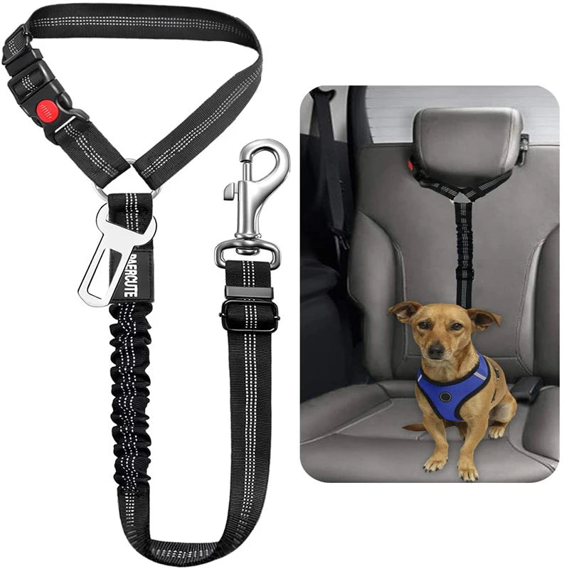 2-in-1 Sicherheitsgeschirr mit Leine & Anschnallgurt - für Hunde & Katzen im Auto