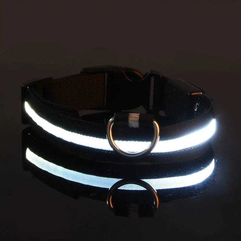 LED-Hundehalsband - Leuchtendes Sicherheits-Nylonhalsband für Spaziergänge bei Nacht