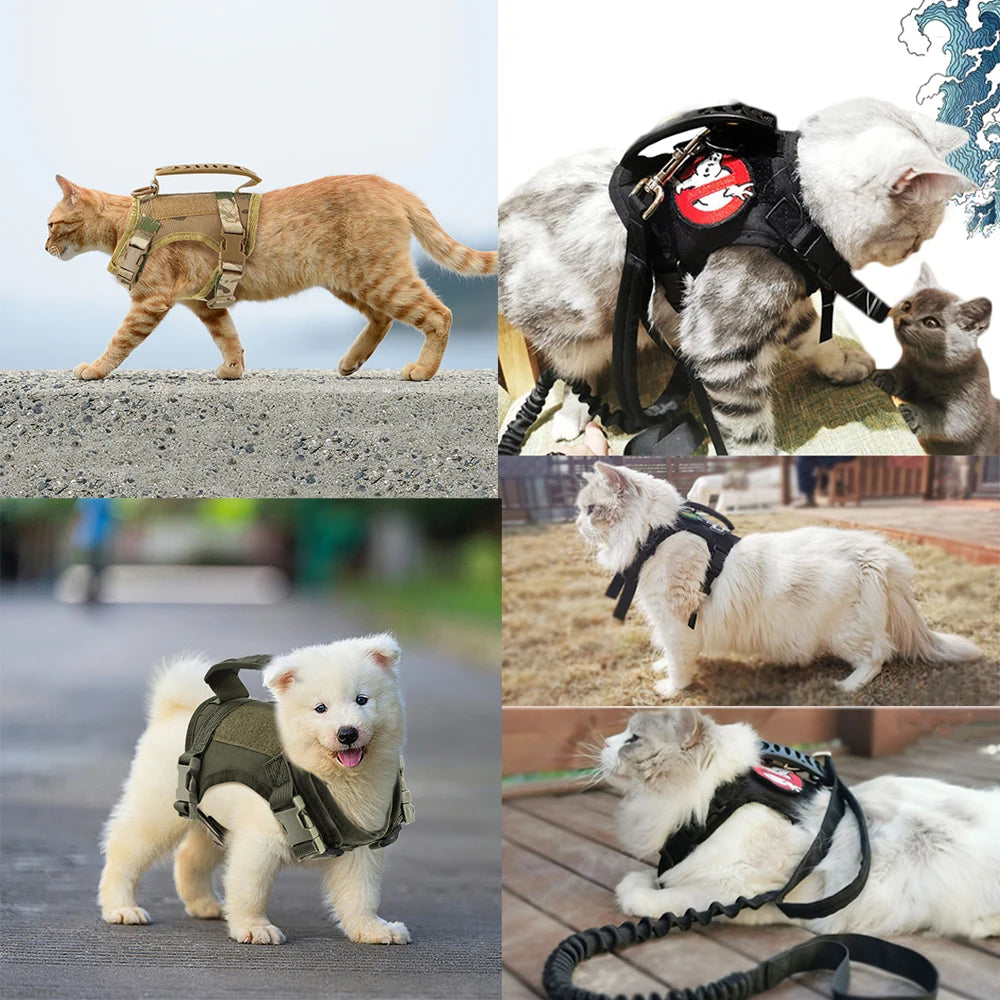 Taktische Hundegeschirr mit MOLLE-System & Schnellverschluss - verstellbar & gepolstert