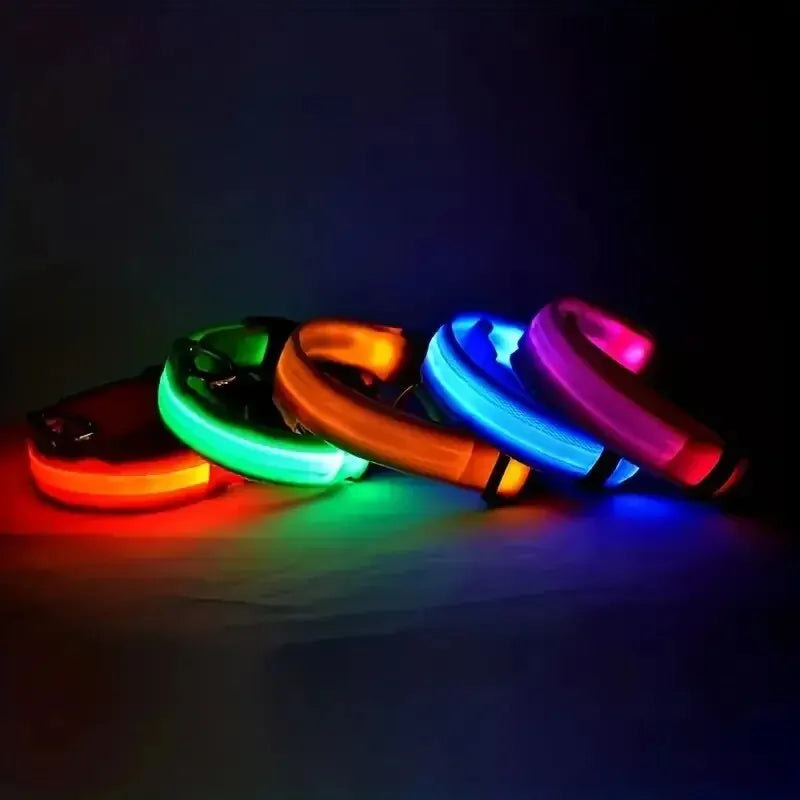 LED-Hundehalsband - Leuchtendes Sicherheits-Nylonhalsband für Spaziergänge bei Nacht