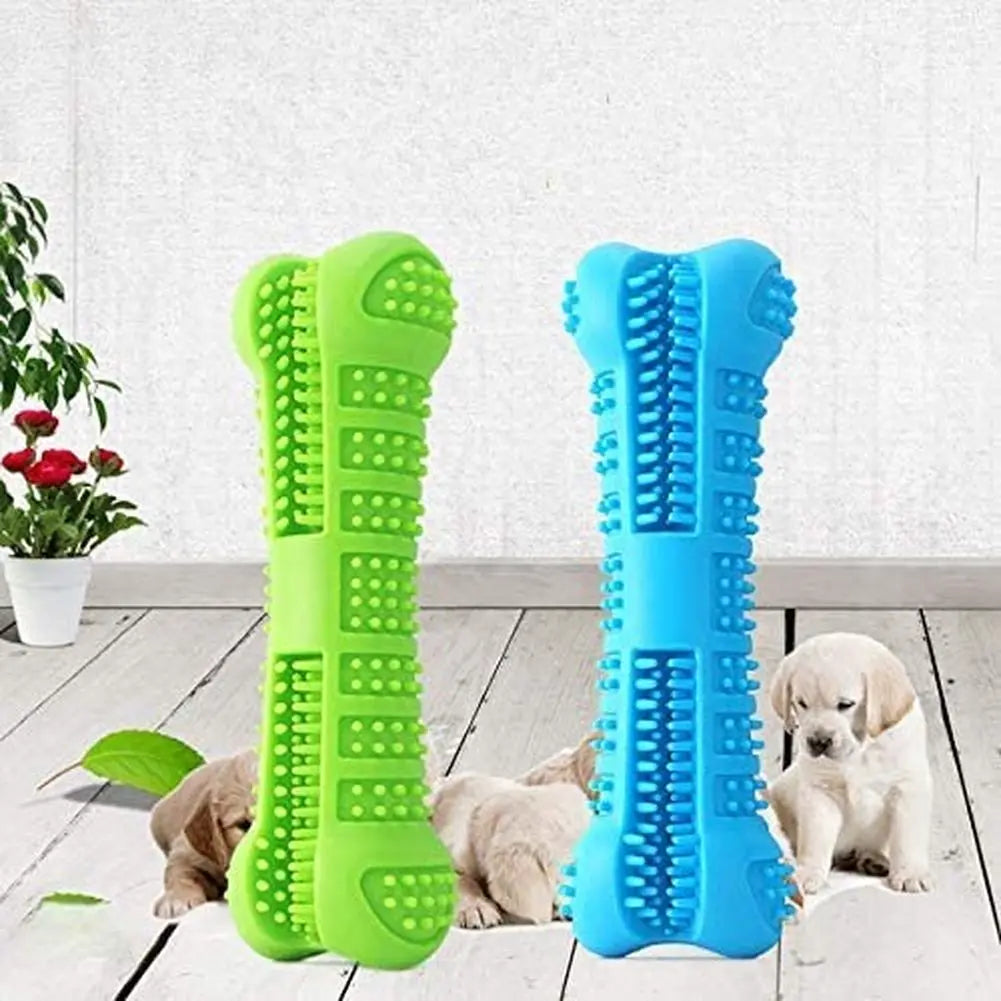 Zahnbürsten-Kauspielzeug für Hunde - Für gesunde Zähne & mehr Spielspaß