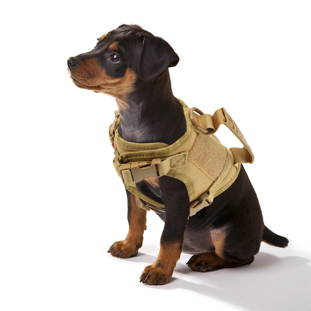Taktische Hundegeschirr mit MOLLE-System & Schnellverschluss - verstellbar & gepolstert