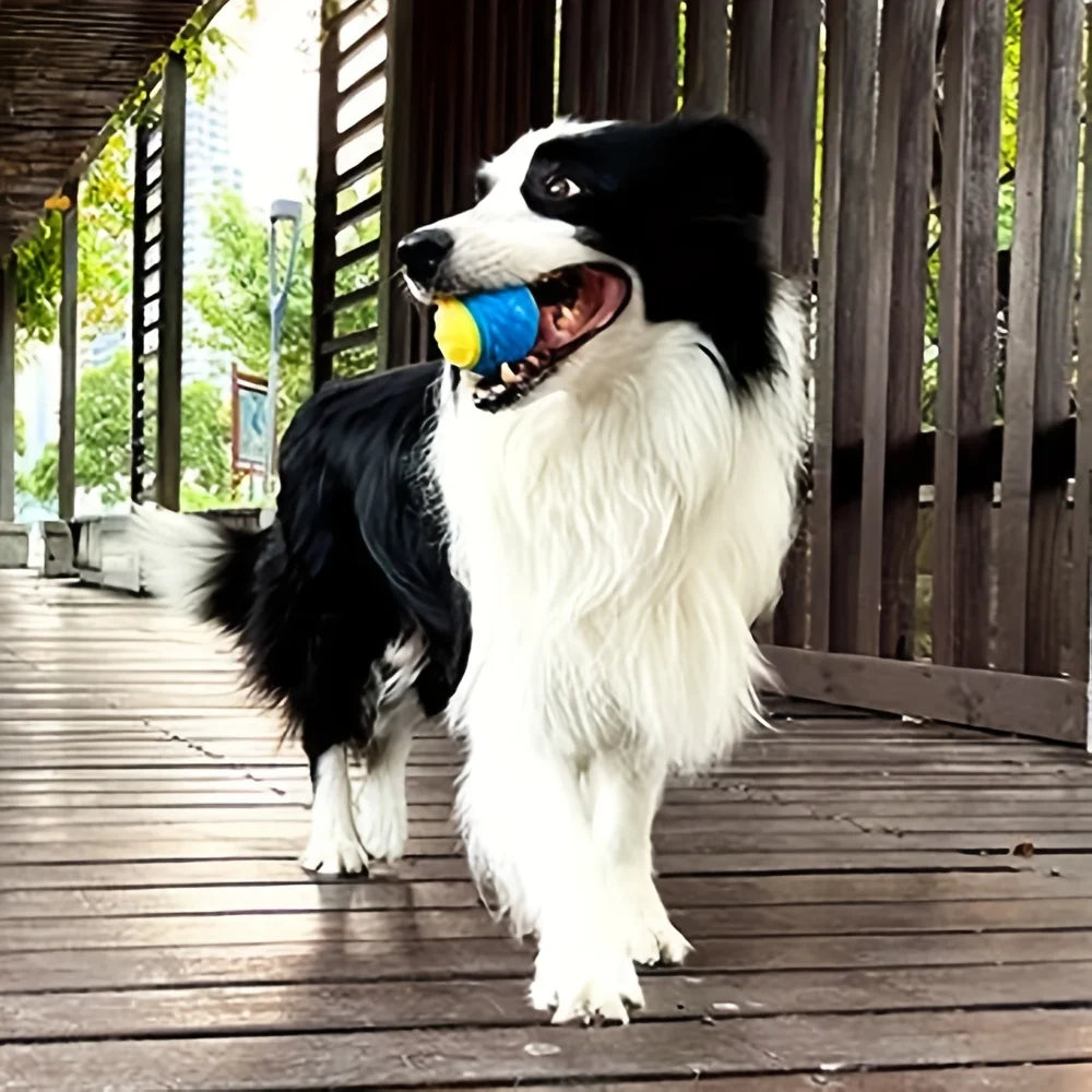 Robuster Hundespielball - Zahnpflege & Kauspielzeug, ⌀ 6,5cm