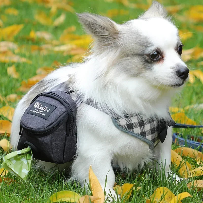 Snack-Tasche für Hundetraining - Outdoor Leckerli-Beutel mit Kotbeutelspender