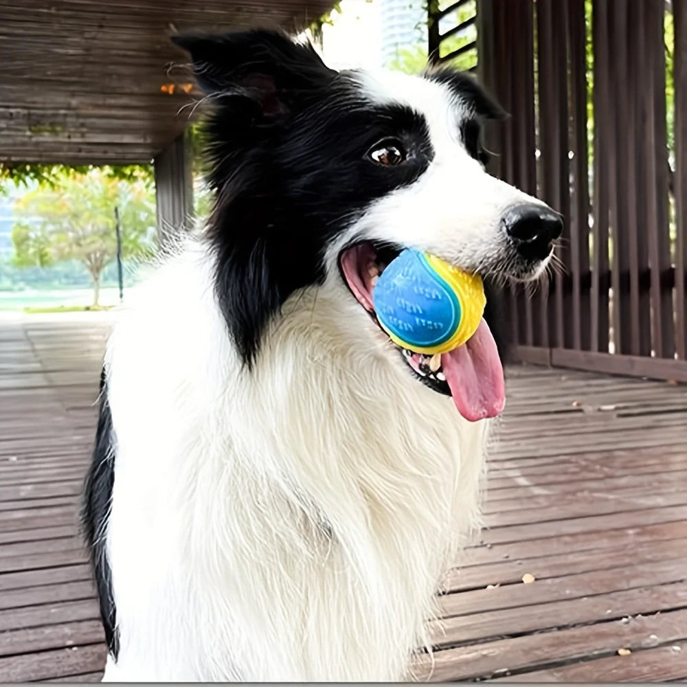 Robuster Hundespielball - Zahnpflege & Kauspielzeug, ⌀ 6,5cm