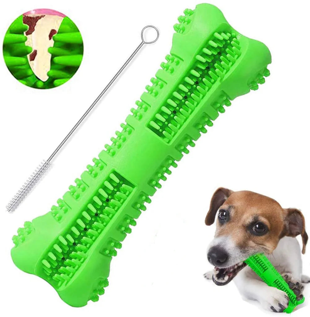 Zahnbürsten-Kauspielzeug für Hunde - Für gesunde Zähne & mehr Spielspaß