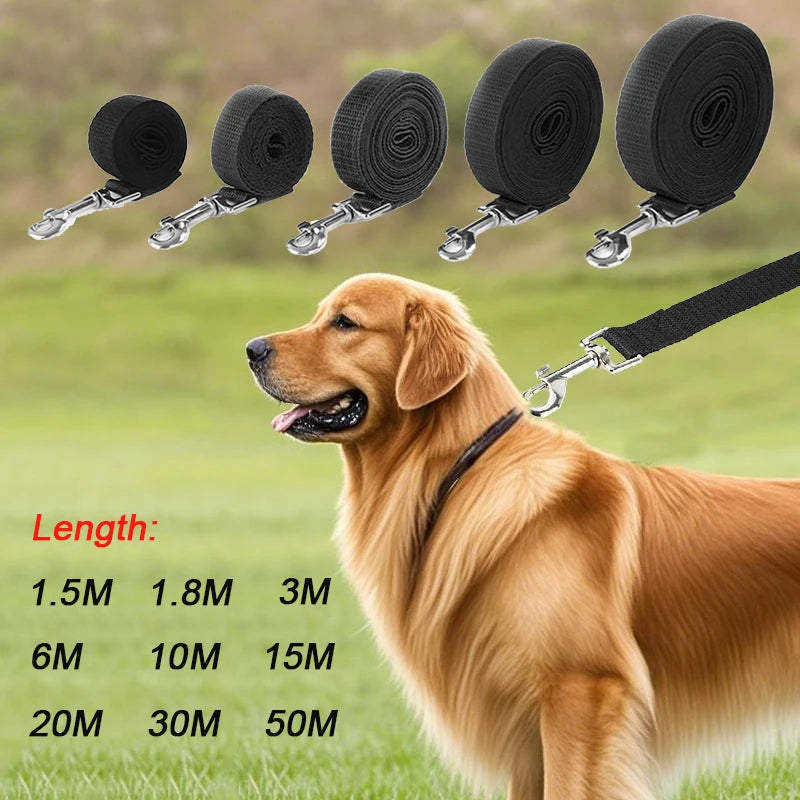 Lange Trainingsleine aus robustem Nylon - 10m, 15m, 20m, 30m, 50m, für kleine & große Hunde