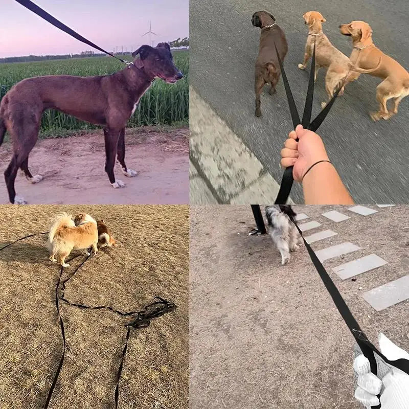 Lange Trainingsleine aus robustem Nylon - 10m, 15m, 20m, 30m, 50m, für kleine & große Hunde