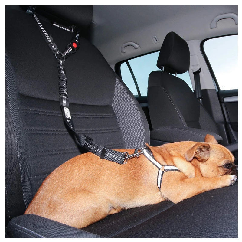 2-in-1 Sicherheitsgeschirr mit Leine & Anschnallgurt - für Hunde & Katzen im Auto