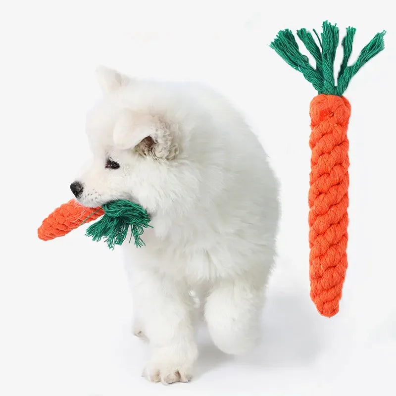 Langlebiges Karotten Hundespielzeug für glückliche & gesunde Hunde