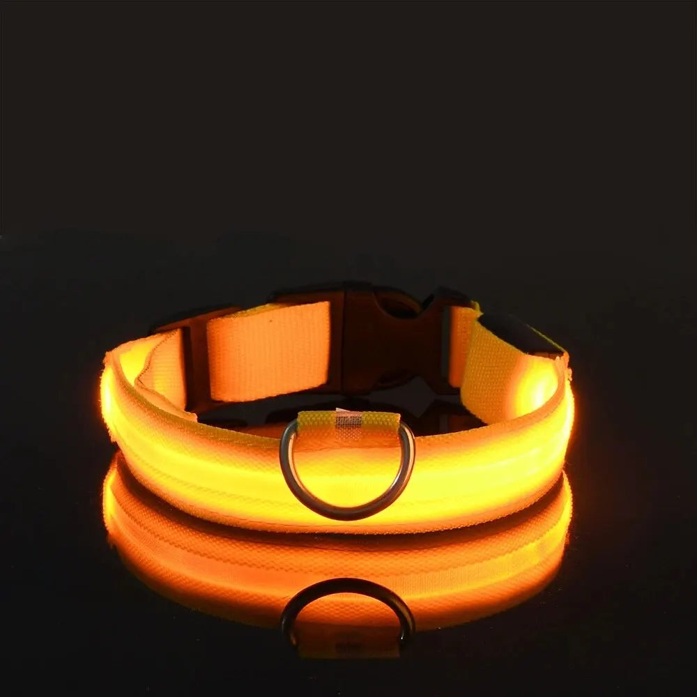 LED-Hundehalsband - Leuchtendes Sicherheits-Nylonhalsband für Spaziergänge bei Nacht