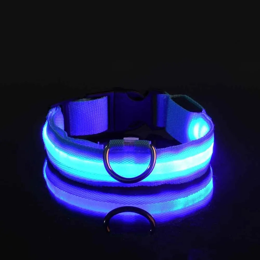 LED-Hundehalsband - Leuchtendes Sicherheits-Nylonhalsband für Spaziergänge bei Nacht
