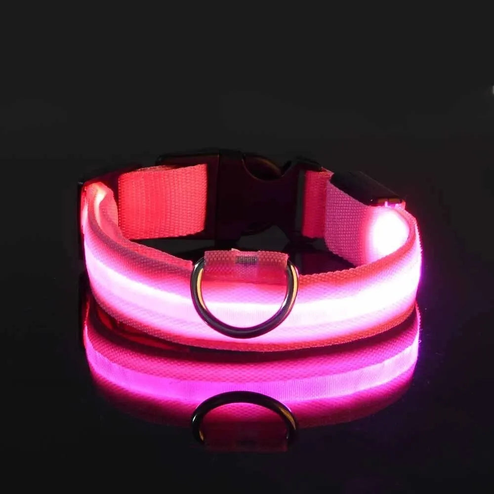 LED-Hundehalsband - Leuchtendes Sicherheits-Nylonhalsband für Spaziergänge bei Nacht