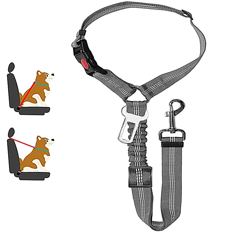 2-in-1 Sicherheitsgeschirr mit Leine & Anschnallgurt - für Hunde & Katzen im Auto